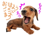 沙和 (yfa72460)さんの【LINEスタンプ】犬の写真スタンプ作成（24個）への提案