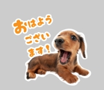 なないろ工房 (nanapoke)さんの【LINEスタンプ】犬の写真スタンプ作成（24個）への提案