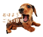 STUDIO RAM（松本 孝弘） (60095a5f01419)さんの【LINEスタンプ】犬の写真スタンプ作成（24個）への提案