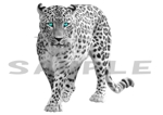 irohacya (irohacya)さんの商品パッケージに使用する「豹」のデザイン制作への提案