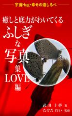 ひいらぎデザイン舎 (syuyu1314)さんの電子書籍の表紙依頼への提案