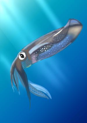 夜桜ゆう (yozakuracloud)さんの水族館、動物園で販売する商品の生き物のデザイン依頼への提案