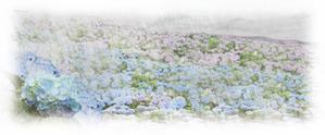 yamato_no_kuniさんの美しい自然　イラスト・または写真加工【雨に濡れる紫陽花】への提案
