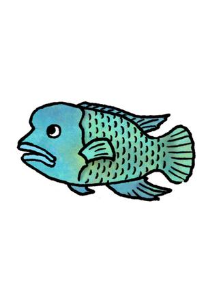 メギ・コーチョン ()さんの水族館、動物園で販売する商品の生き物のデザイン依頼への提案