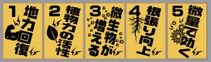 W/field (hakuhata623)さんの展示会での文字メインのポスター5種への提案