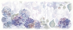 apple123さんの美しい自然　イラスト・または写真加工【雨に濡れる紫陽花】への提案