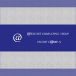 シークレットデザイン ()さんのコンサルティング会社「エスコートコンサルティンググループ」など3点のロゴへの提案