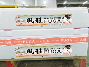 hikaruasakawaさんの海外市場を意識した、生鮮殻付き牡蠣の外装パッケージデザインへの提案