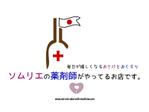 nayukiさんの「ソムリエの薬剤師がやってるお店です。」のロゴ作成への提案