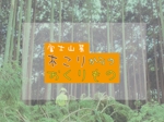 Rin.design (rin0923)さんの富士山麓  木こりからのおくりものへの提案
