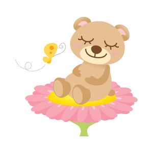 kaotaさんのくまのキャラクターデザインへの提案