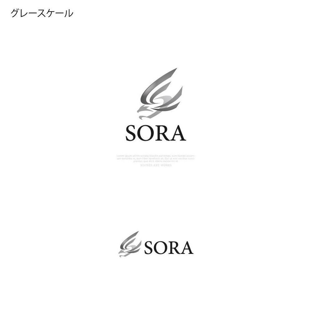 SORA-1_8.jpg