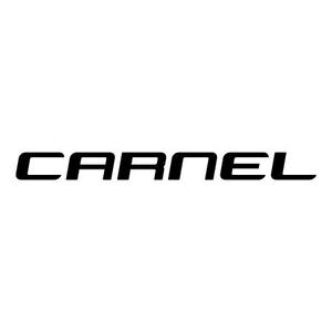 ALUMI (Alumi)さんの「車の輸出用ポータルサイト「CARNEL」のロゴ」のロゴ作成への提案