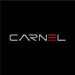 さんの「車の輸出用ポータルサイト「CARNEL」のロゴ」のロゴ作成への提案
