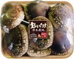 株式会社古田デザイン事務所 (FD-43)さんの高級原木椎茸の市販用トレーパックに宣伝効果のあるラベルが貼りたい－デザインへの提案