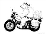 crich(クリッチ） (crich)さんのアウトドア商品にプリントする『バイクでキャンプに行く白くま』のイラストへの提案