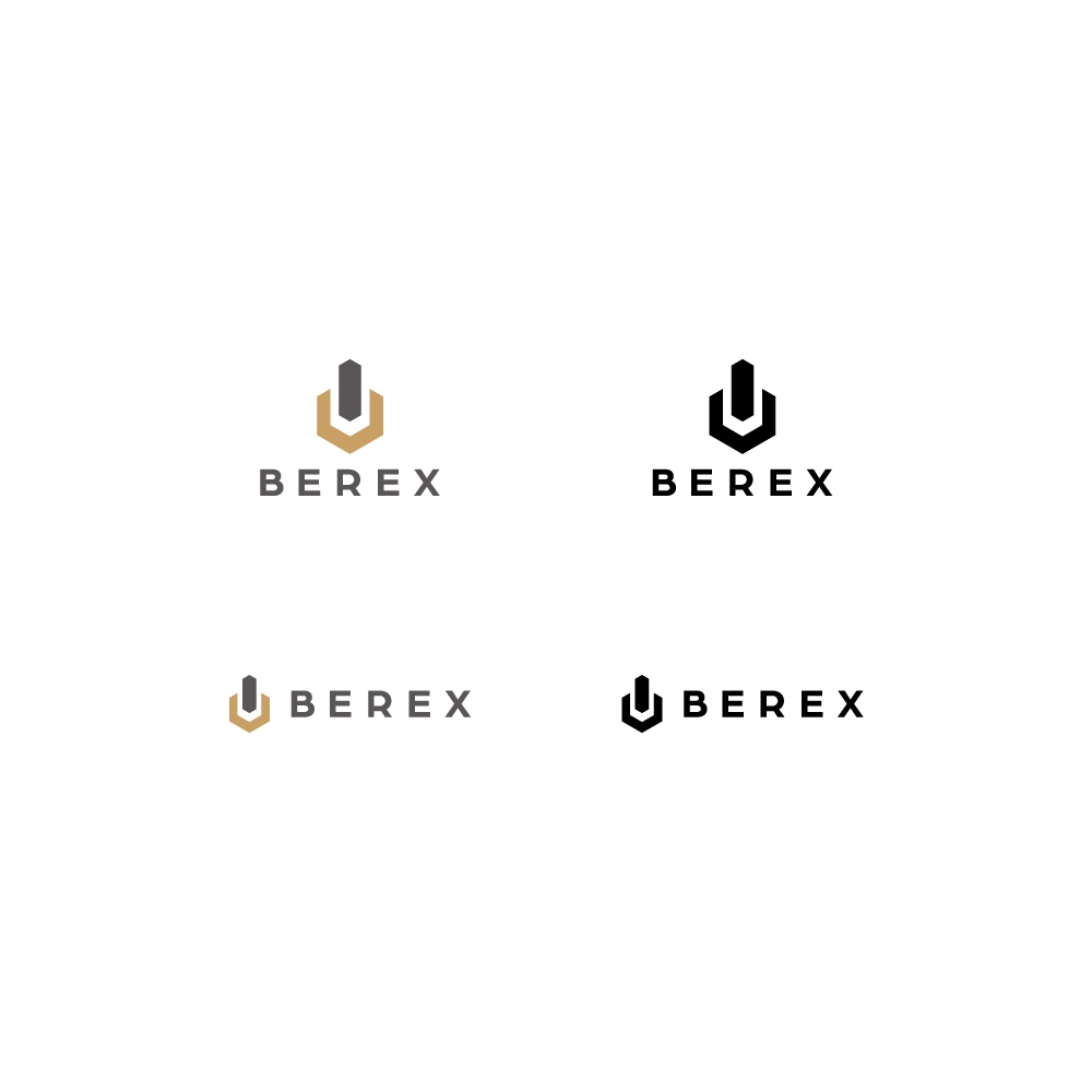 BEREX1-1.jpg