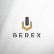 BEREX1-3.jpg