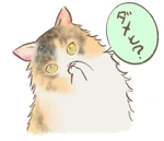 24 ツマミ (36_tsunami)さんの癒し系のゆるくてかわいい猫のLINEスタンプ作成（会社で飼っている猫がモデル）への提案