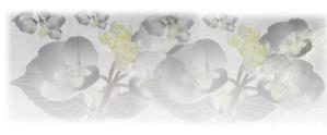 高嶋 (M_Takasima)さんの美しい自然　イラスト・または写真加工【雨に濡れる紫陽花】への提案