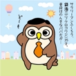 owl-01.jpg