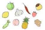 坂之下しま (sakanosita99)さんのオリジナルジャケットのバックプリントに使う「果物や野菜」のイラストへの提案