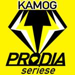 D-Studio (D-Studio)さんの製造業向け"ダイヤモンド工具"　「KAMOG PRODIA（カモッグプロダイヤシリーズ）」　ロゴ製作への提案