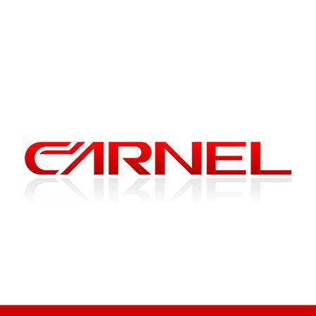 kazubonさんの「車の輸出用ポータルサイト「CARNEL」のロゴ」のロゴ作成への提案