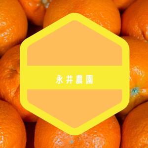 afp0208さんのみかん(柑橘)農家「永井農園」のロゴへの提案