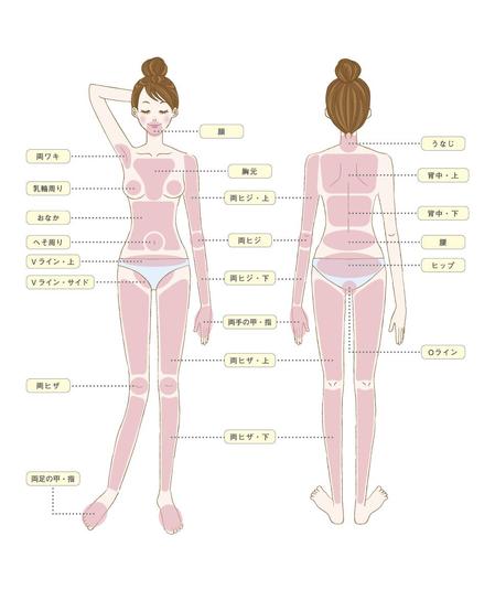 Mojamon1103さんの事例 実績 提案 脱毛情報サイトに利用するイラスト 参考画像あり はじめまして Hit クラウドソーシング ランサーズ