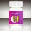 Euglena様4提出用1-2.jpg