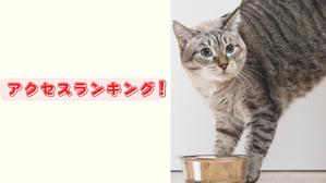 kazu_haさんのホストクラブ「アクセスランキング」バナー製作数点への提案