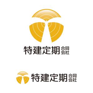 tsujimo (tsujimo)さんのドローンによる各種点検ビジネスの会社ロゴですへの提案