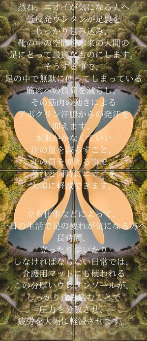 rhokkuvuwke100171さんの中敷きのパッケージデザイン　への提案
