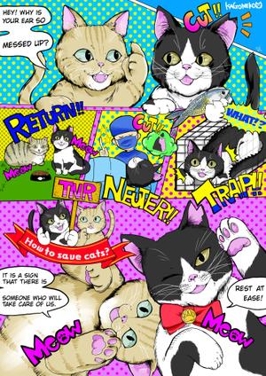 Aya (Aya_0719)さんの携帯電話画面でのお知らせ作成（動物病院のフィラリア予防）への提案