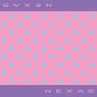 nexas003.jpg