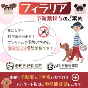 MEMURA Design (memura112)さんの携帯電話画面でのお知らせ作成（動物病院のフィラリア予防）への提案