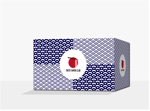 Koh0523 (koh0523)さんの海外向けカップラーメンの発送用外箱のBOXデザインへの提案