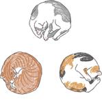 けんち蛍（けい） (ichi-bit)さんの丸まっている猫のイラスト3種類 募集への提案