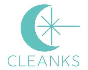 こだる (Kazu_01)さんの清掃会社のロゴ　【　CLEANKS　】への提案
