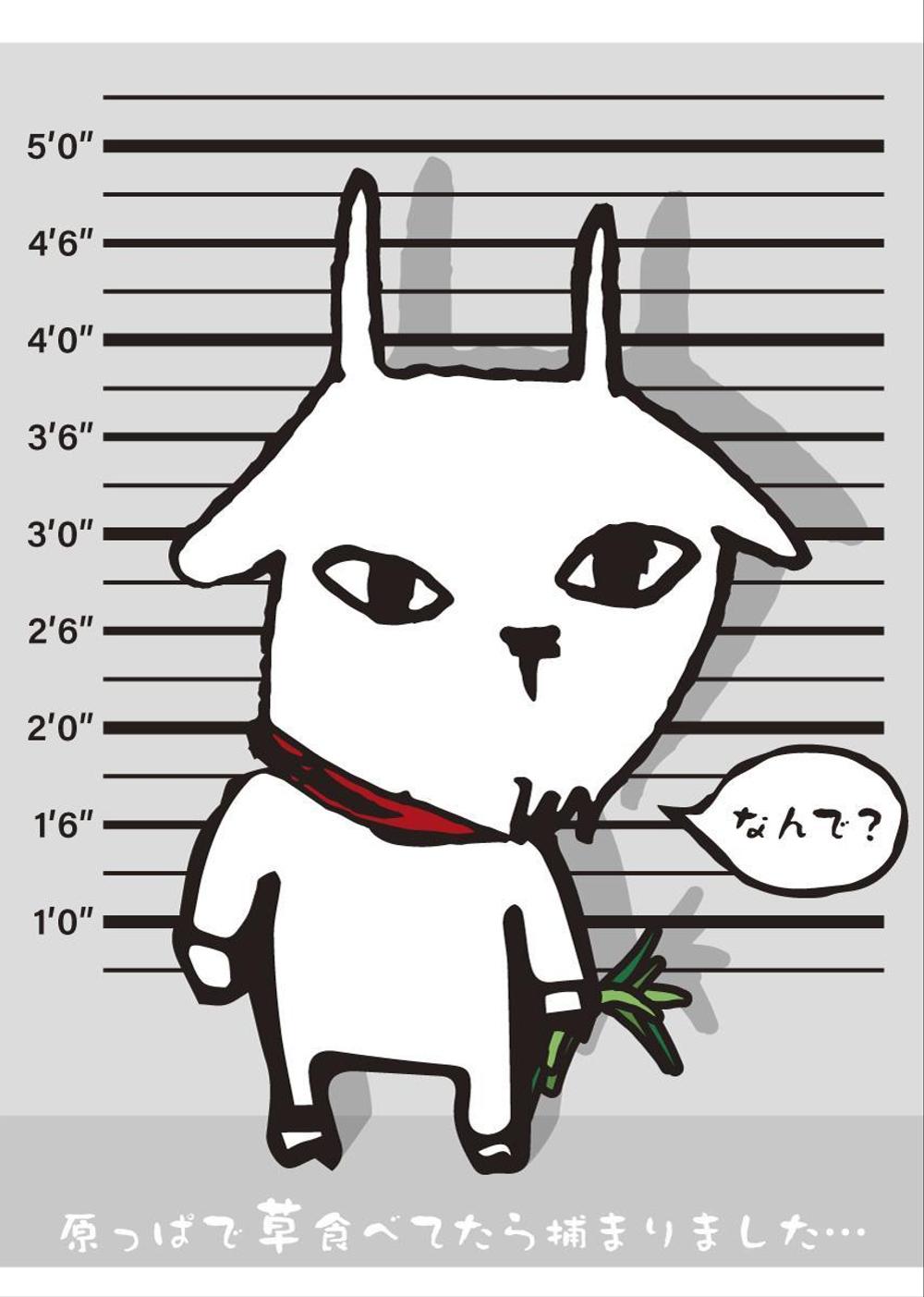 01.jpg
