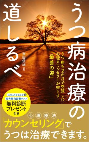 kawanami (kawanami10)さんのうつ病治療の道しるべへの提案