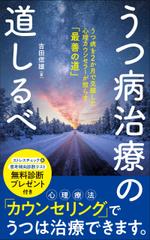 kawanami (kawanami10)さんのうつ病治療の道しるべへの提案