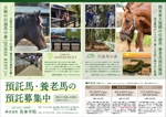イイダチヒロ (ichi_16)さんの至急お願いします！「ウマ」の牧場。馬たちが安心できる牧場（募集広告）の依頼です。への提案