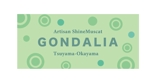 arc design (kanmai)さんのシャインマスカットの商品ブランド「GONDALIA」のロゴへの提案