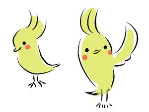 橙　ころも (daidaikoromo)さんの家を買う方向けのサイトのオカメインコのキャラクターデザインへの提案