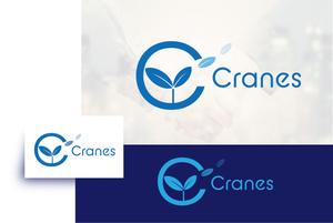 arc design (kanmai)さんの不動産会社【Cranes】 のロゴへの提案