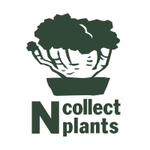 イイダチヒロ (ichi_16)さんの男性向け観葉植物ショップのブランドロゴへの提案
