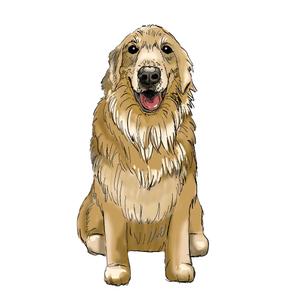 しみしみ (itimatu5label)さんの動物病院グループ 株式会社 WOLVES Handのイメージキャラクターデザインへの提案