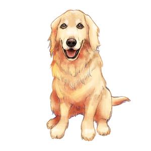 ここっと ()さんの動物病院グループ 株式会社 WOLVES Handのイメージキャラクターデザインへの提案